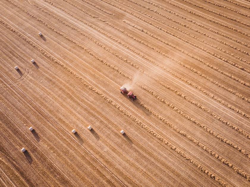 The Role of Policy in Commodity Pricing
